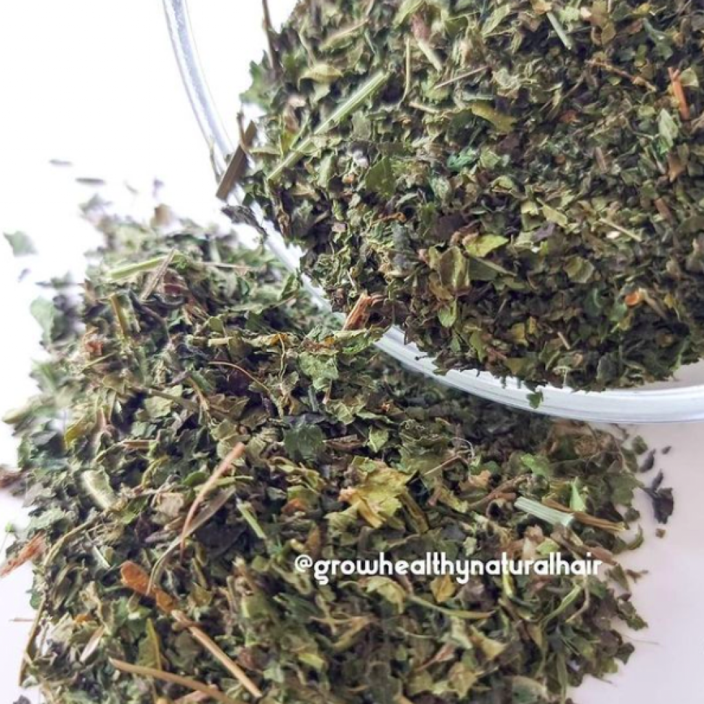 Nettle Leaf and Natural Hair BeautySecrets